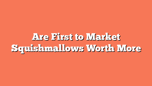 Are First to Market Squishmallows Worth More