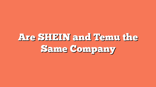 Are SHEIN and Temu the Same Company