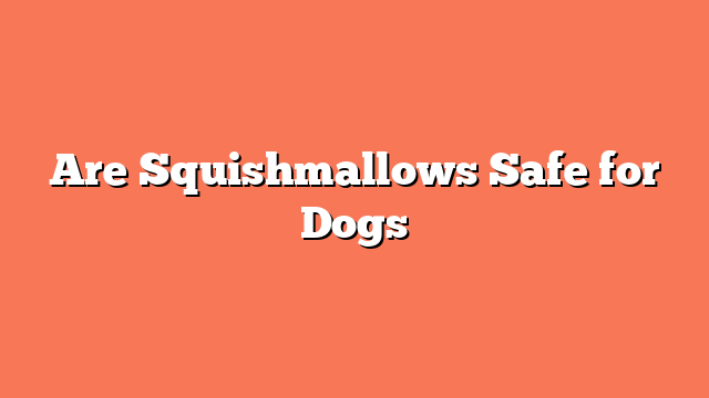 Are Squishmallows Safe for Dogs