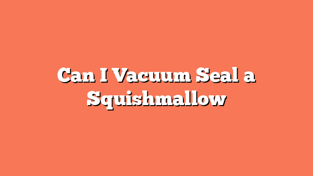 Can I Vacuum Seal a Squishmallow