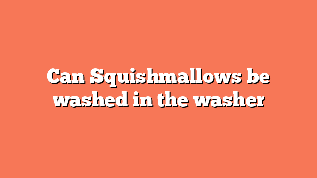 Can Squishmallows be washed in the washer