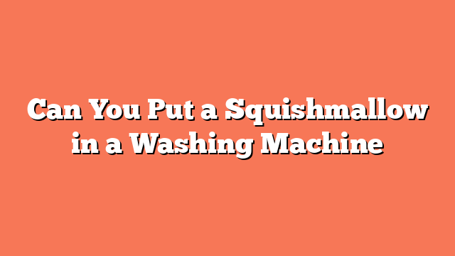 Can You Put a Squishmallow in a Washing Machine