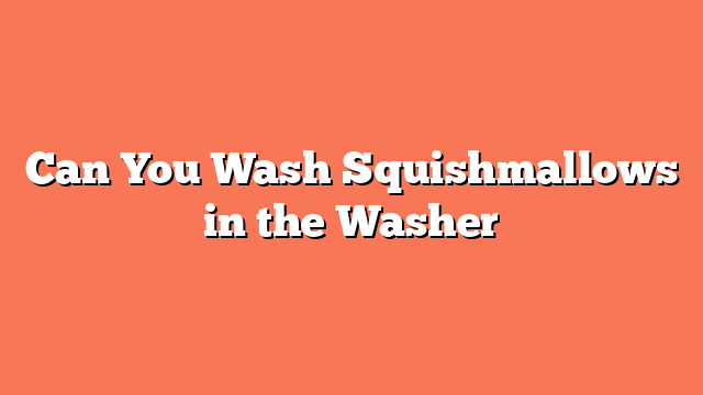 Can You Wash Squishmallows in the Washer