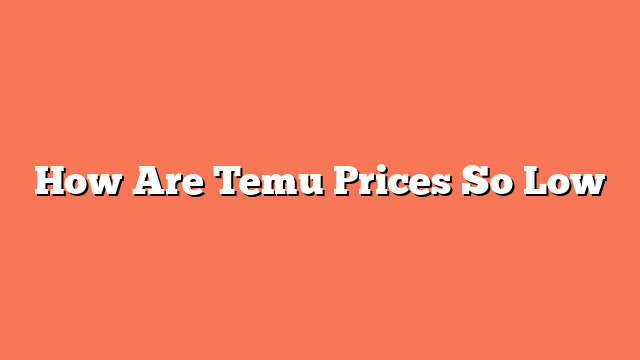 How Are Temu Prices So Low