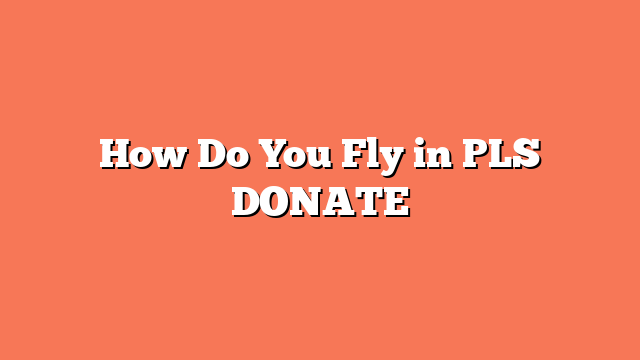 How Do You Fly in PLS DONATE