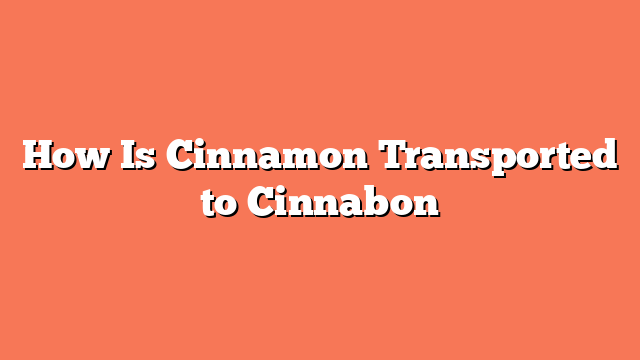 How Is Cinnamon Transported to Cinnabon