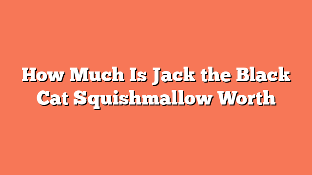 How Much Is Jack the Black Cat Squishmallow Worth