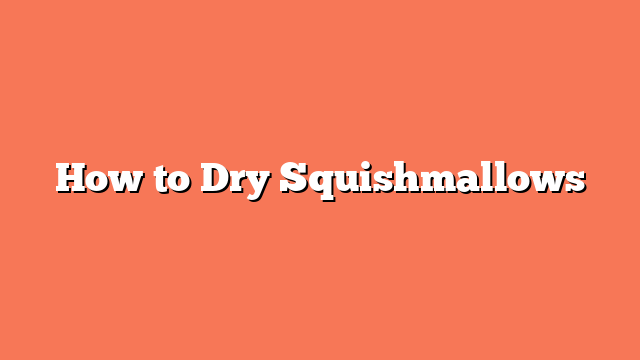 How to Dry Squishmallows