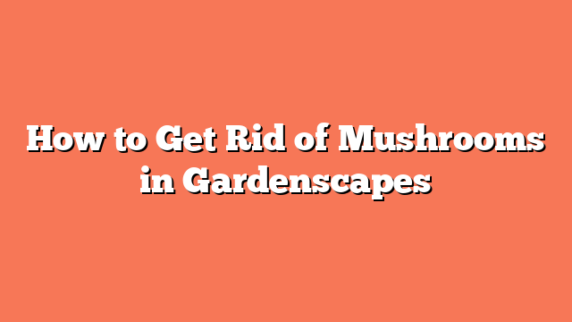 How to Get Rid of Mushrooms in Gardenscapes