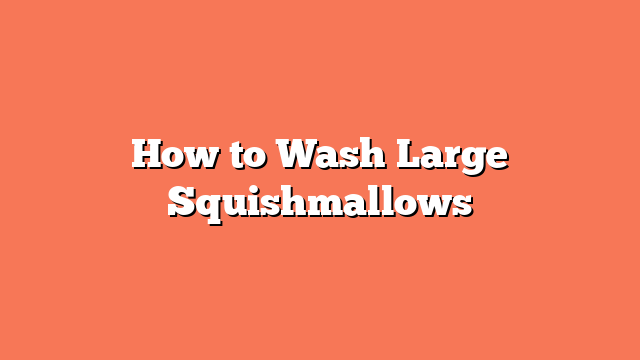 How to Wash Large Squishmallows