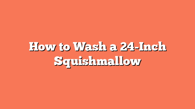 How to Wash a 24-Inch Squishmallow