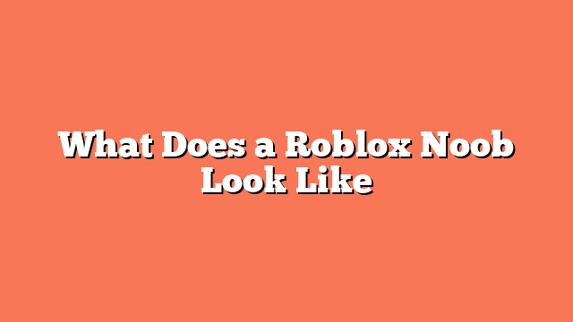 What Does a Roblox Noob Look Like