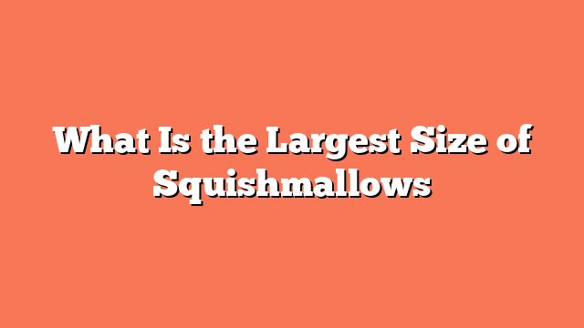 What Is the Largest Size of Squishmallows