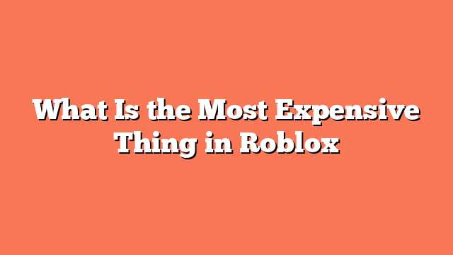 What Is the Most Expensive Thing in Roblox