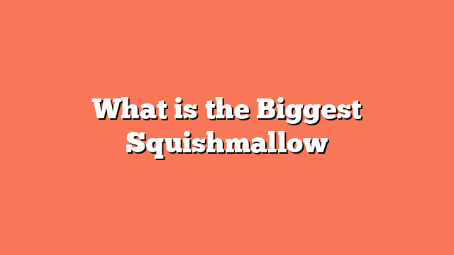 What is the Biggest Squishmallow