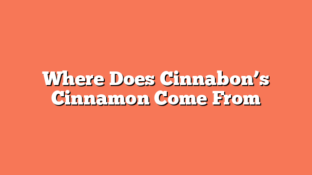 Where Does Cinnabon’s Cinnamon Come From