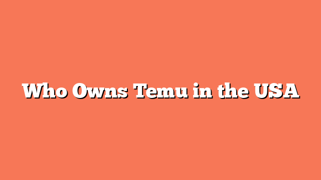 Who Owns Temu in the USA