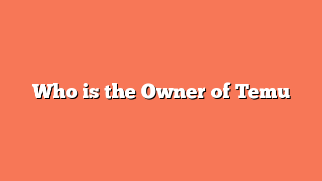 Who is the Owner of Temu