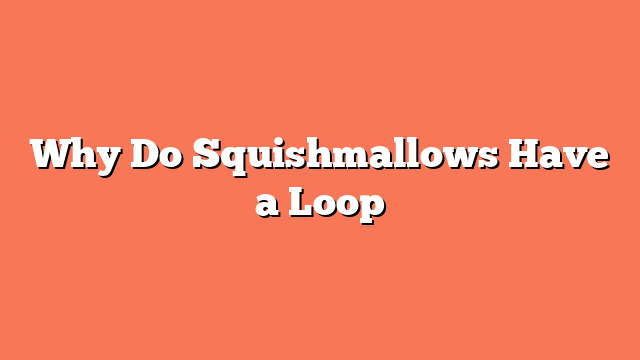 Why Do Squishmallows Have a Loop