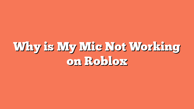 Why is My Mic Not Working on Roblox