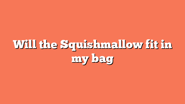 Will the Squishmallow fit in my bag